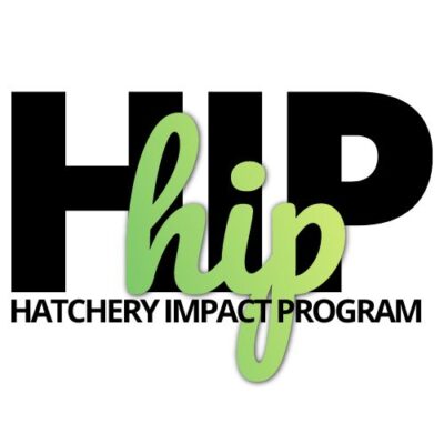Impact Program Logo